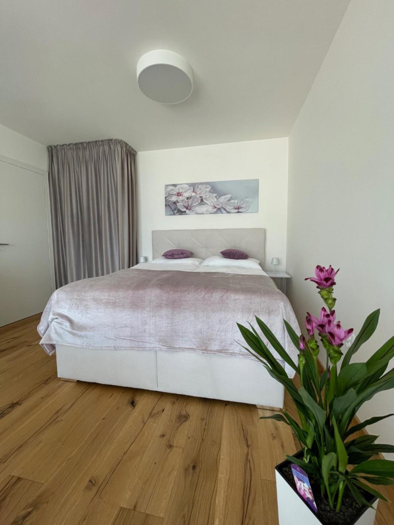 H52 Apartments 브르노 외부 사진